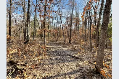 21210 W 12 Mile Road, Irons, MI 49644 - Photo 2