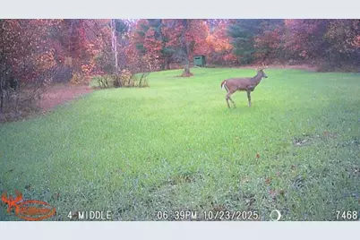 21210 W 12 Mile Road, Irons, MI 49644 - Photo 24