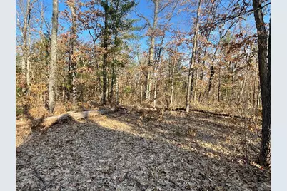 21210 W 12 Mile Road, Irons, MI 49644 - Photo 10