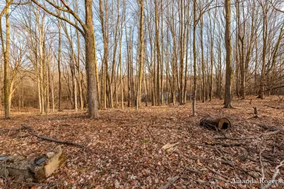 14047 4 Mile Road NE, Lowell, MI 49331 - Photo 4