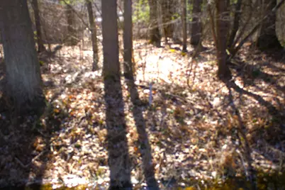 V/L W Prairie Road, Midland, MI 48640 - Photo 62