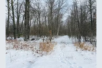 V/L W Prairie Road, Midland, MI 48640 - Photo 6