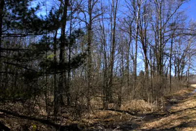 V/L W Prairie Road, Midland, MI 48640 - Photo 58