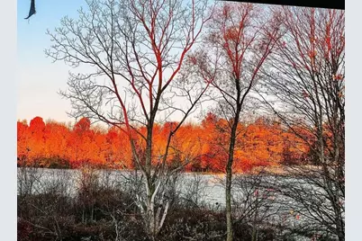 51534 County Road 673, Lawrence, MI 49064 - Photo 40