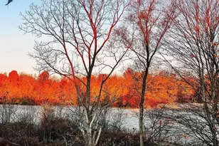 51534 Co Rd 673, Lawrence, MI 49064 - Photo 40