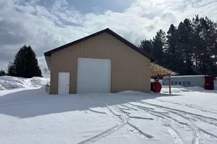 28981 W M-28, Eckerman, MI 49728 - Photo 4