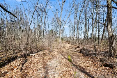 30637 Redfield Street, Niles, MI 49120 - Photo 14