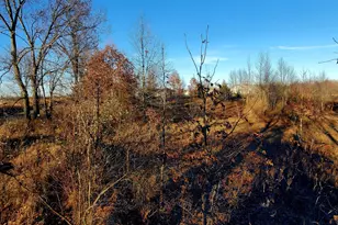 7596 2 1/2 Mile Rd, East Leroy, MI 49051 - Photo 18