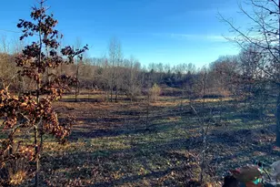 7596 2 1/2 Mile Rd, East Leroy, MI 49051 - Photo 24