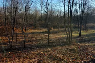 7596 2 1/2 Mile Rd, East Leroy, MI 49051 - Photo 14