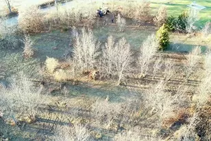 7596 2 1/2 Mile Rd, East Leroy, MI 49051 - Photo 30