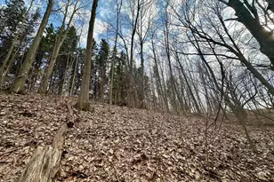 V/L S Beaune Rd, Ludington, MI 49431 - Photo 10