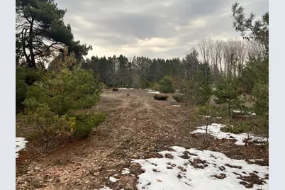 Quarter Line Rd, Manistee, MI 49660 - Photo 6