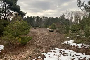 Quarter Line Rd, Manistee, MI 49660 - Photo 6