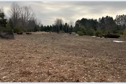 Quarter Line Rd, Manistee, MI 49660 - Photo 4