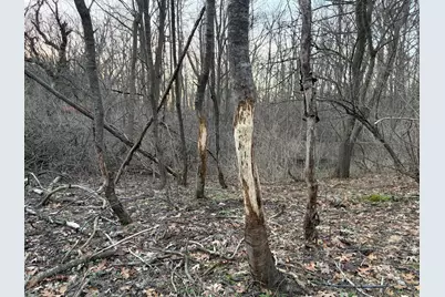 Hayward Road, Delton, MI 49046 - Photo 12