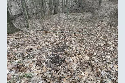 Hayward Road, Delton, MI 49046 - Photo 36