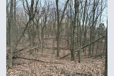Hayward Road, Delton, MI 49046 - Photo 32