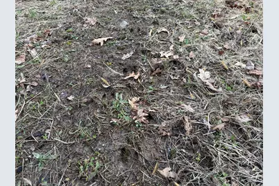 Hayward Road, Delton, MI 49046 - Photo 18