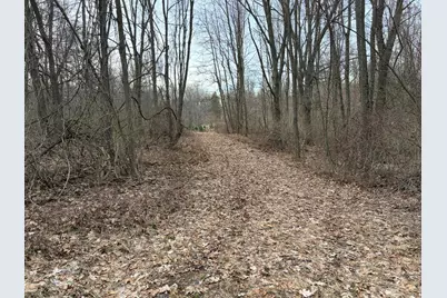 Hayward Road, Delton, MI 49046 - Photo 30