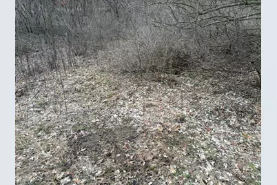 Hayward Road, Delton, MI 49046 - Photo 54