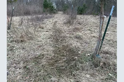 Hayward Road, Delton, MI 49046 - Photo 24