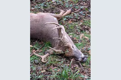 County Road 376, Bangor, MI 49013 - Photo 24