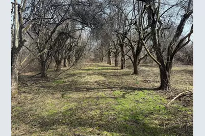 County Road 376, Bangor, MI 49013 - Photo 56