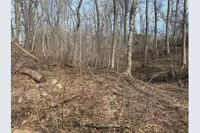 County Road 376, Bangor, MI 49013 - Photo 36