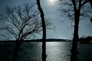 851 Roselle St, Jackson, MI 49201 - Photo 50