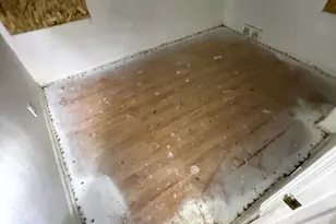 19180 Bradford Ave, Detroit, MI 48205 - Photo 10