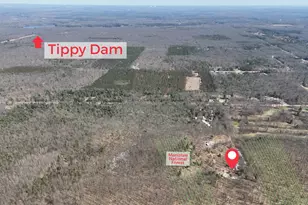 460 Seaman Rd, Wellston, MI 49689 - Photo 6