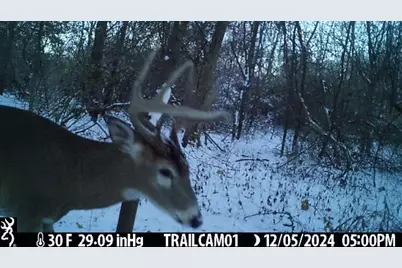 27 C Drive N, Albion, MI 49224 - Photo 4