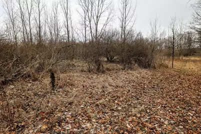 Vl Messenger Highway, Olivet, MI 49076 - Photo 22