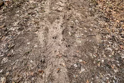 Vl Messenger Highway, Olivet, MI 49076 - Photo 34