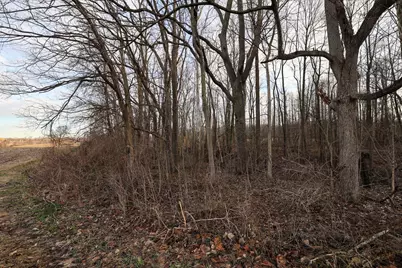 Vl W Glendora Road, Buchanan, MI 49107 - Photo 30