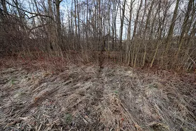 Vl W Glendora Road, Buchanan, MI 49107 - Photo 18