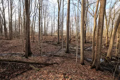 Vl W Glendora Road, Buchanan, MI 49107 - Photo 54