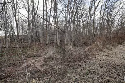 Vl W Glendora Road, Buchanan, MI 49107 - Photo 38