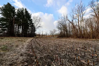 Vl W Glendora Road, Buchanan, MI 49107 - Photo 50