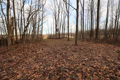 Vl W Glendora Road, Buchanan, MI 49107 - Photo 2