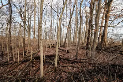 Vl W Glendora Road, Buchanan, MI 49107 - Photo 20