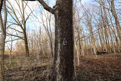 Vl W Glendora Road, Buchanan, MI 49107 - Photo 10