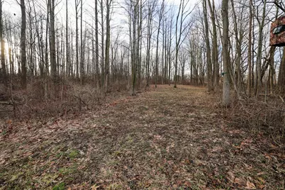 Vl W Glendora Road, Buchanan, MI 49107 - Photo 10