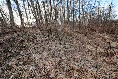 Vl W Glendora Road, Buchanan, MI 49107 - Photo 18