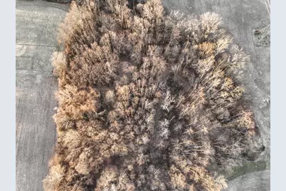 Vl W Glendora Road, Buchanan, MI 49107 - Photo 8