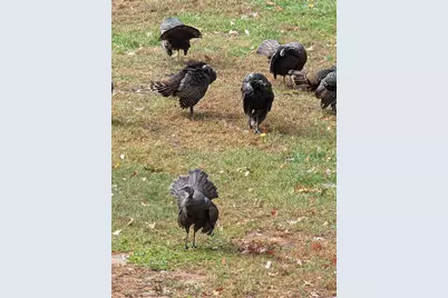 9562 S Rainbow Lake Drive, Baldwin, MI 49304 - Photo 34