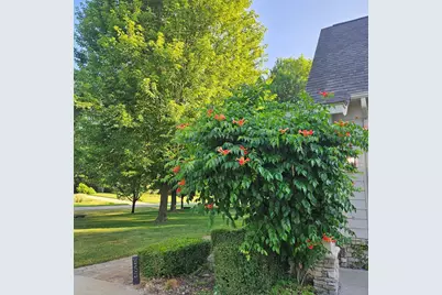 6245 Dublin Drive, Stanwood, MI 49346 - Photo 46