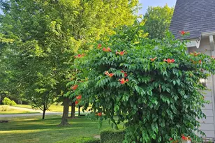 6245 Dublin Dr, Stanwood, MI 49346 - Photo 46