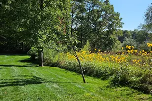 6245 Dublin Dr, Stanwood, MI 49346 - Photo 48